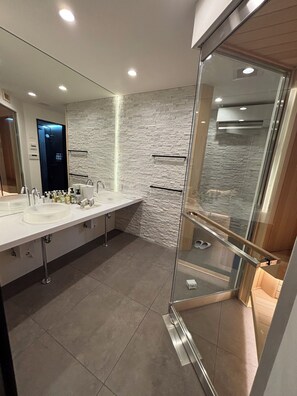 Shower, hair dryer, bidet, towels