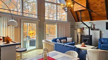 TV, fireplace, books