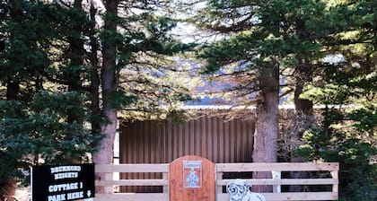 A quite gateway in the mountain! Cass cottage 1 - Lake Pearson, Authur's Pass