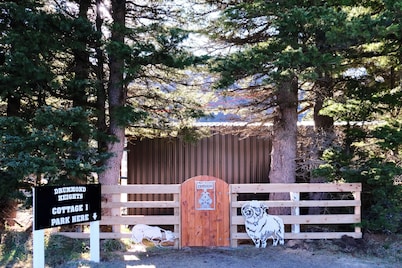 A quite gateway in the mountain! Cass cottage 1 - Lake Pearson, Authur's Pass