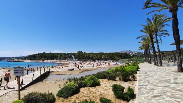 Une plage avec une promenade en bois menant à l’eau, des palmiers et un ciel bleu dégagé.