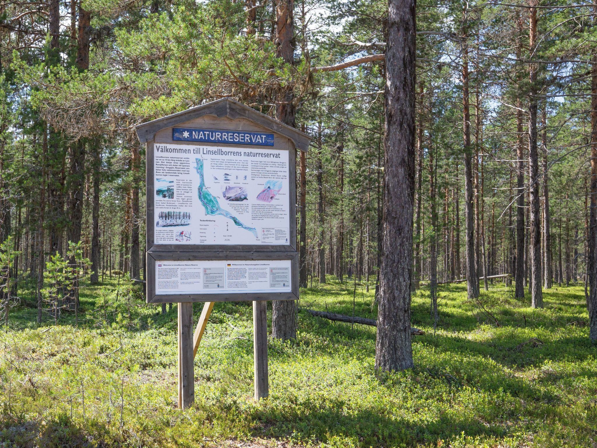 A signboard in a forested area with text and maps.
