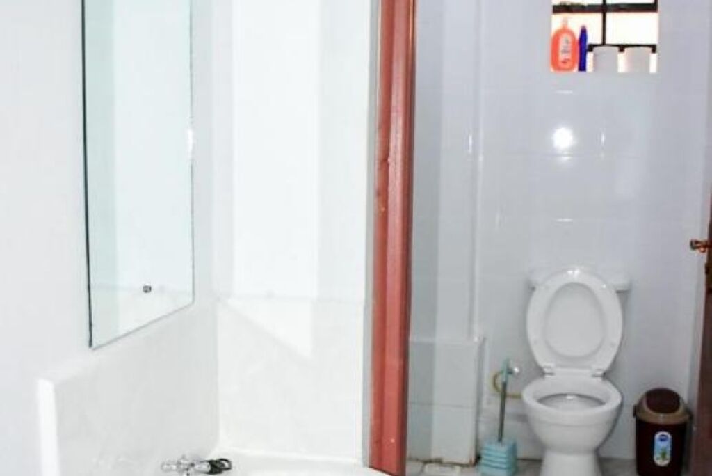 シャワー、タオル、トイレットペーパー