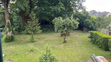 Een goed onderhouden tuin met verschillende bomen en een strakke haag.