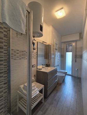 Shower, hair dryer, bidet, towels