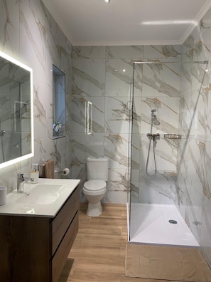 Shower, hair dryer, towels, toilet paper