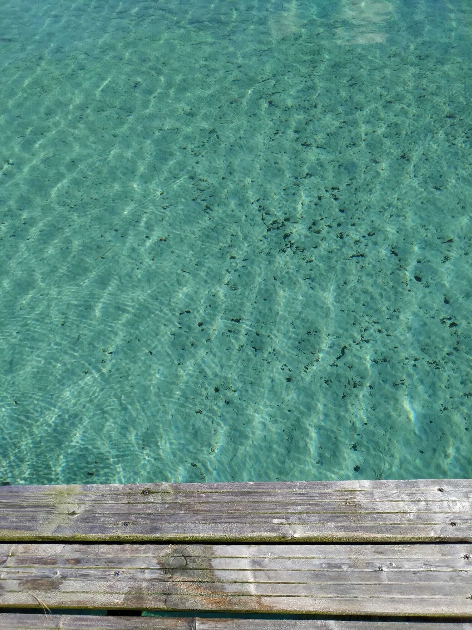 A wooden dock extending into clear, shallow water with visible underwater features.