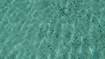A wooden dock extending into clear, shallow water with visible underwater features.