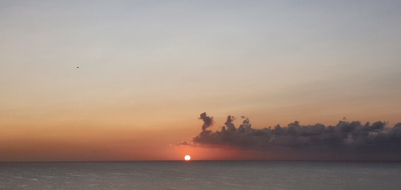 Un atardecer sobre una masa de agua, con la silueta de árboles en el horizonte.