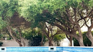 حمّام سباحة خارجي، مقاعد للتشمس