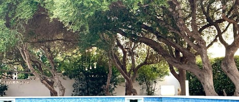 Outdoor pool, pool loungers