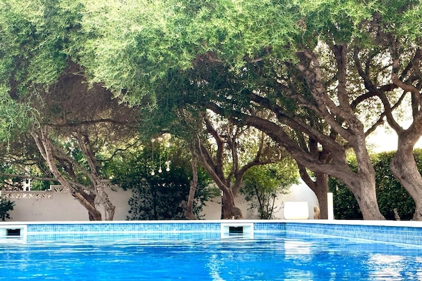 Kolam renang outdoor, dengan kursi berjemur