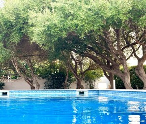 Outdoor pool, pool loungers