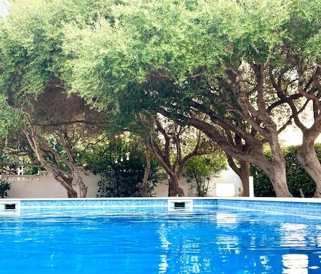 Una piscina al aire libre, sillones reclinables de piscina