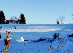 View from property - Apartment in Winterberg (Winterberg)