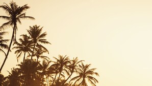 A beach with palm trees and surfers in the background. - Neem Boutique Hotel (Kamburugamuwa)
