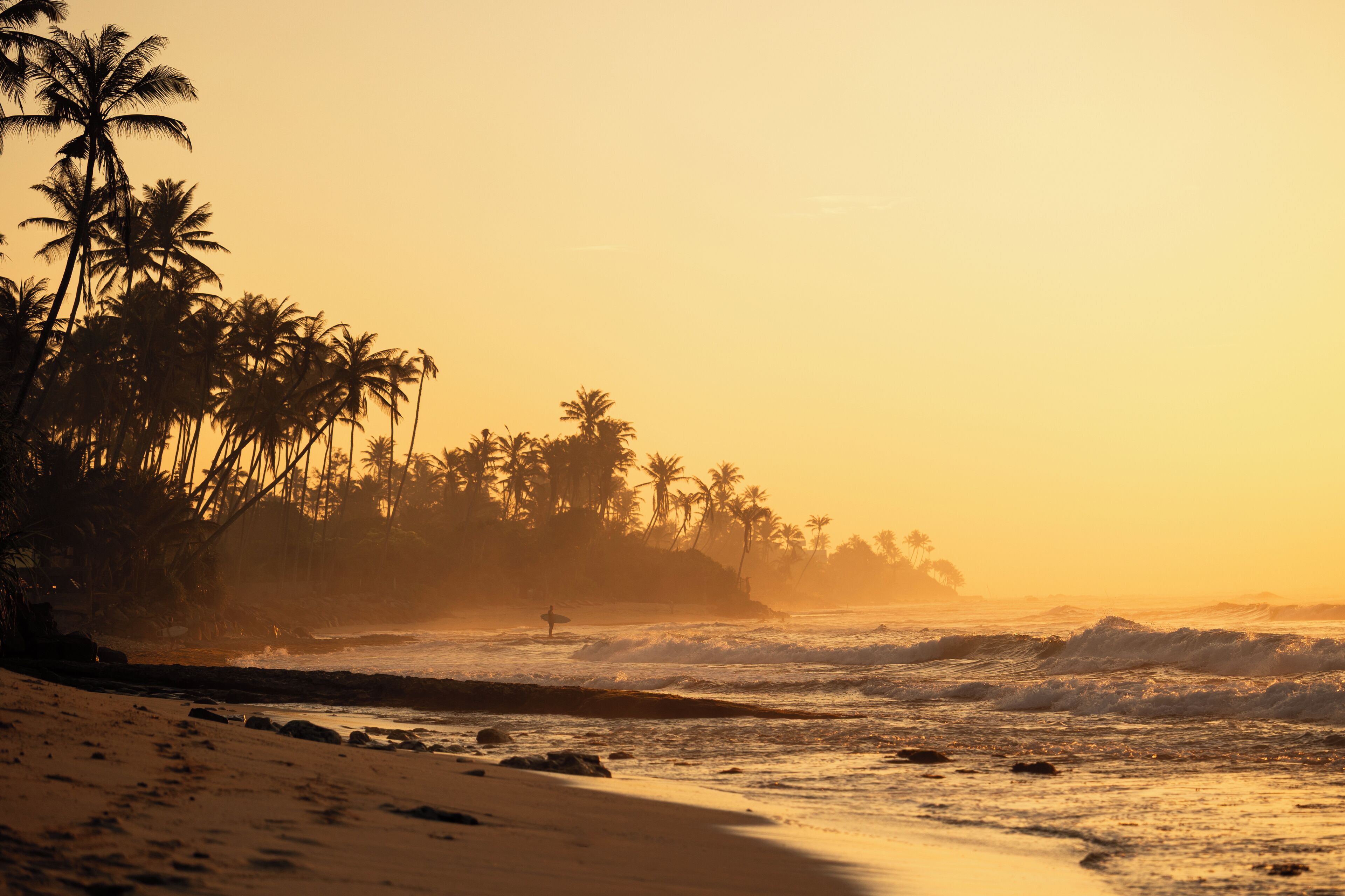 Una playa con palmeras y olas del océano al atardecer.