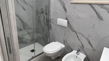 Shower, hair dryer, bidet, towels