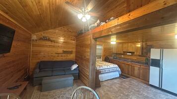 Smart TV, fireplace, video games, DVD player