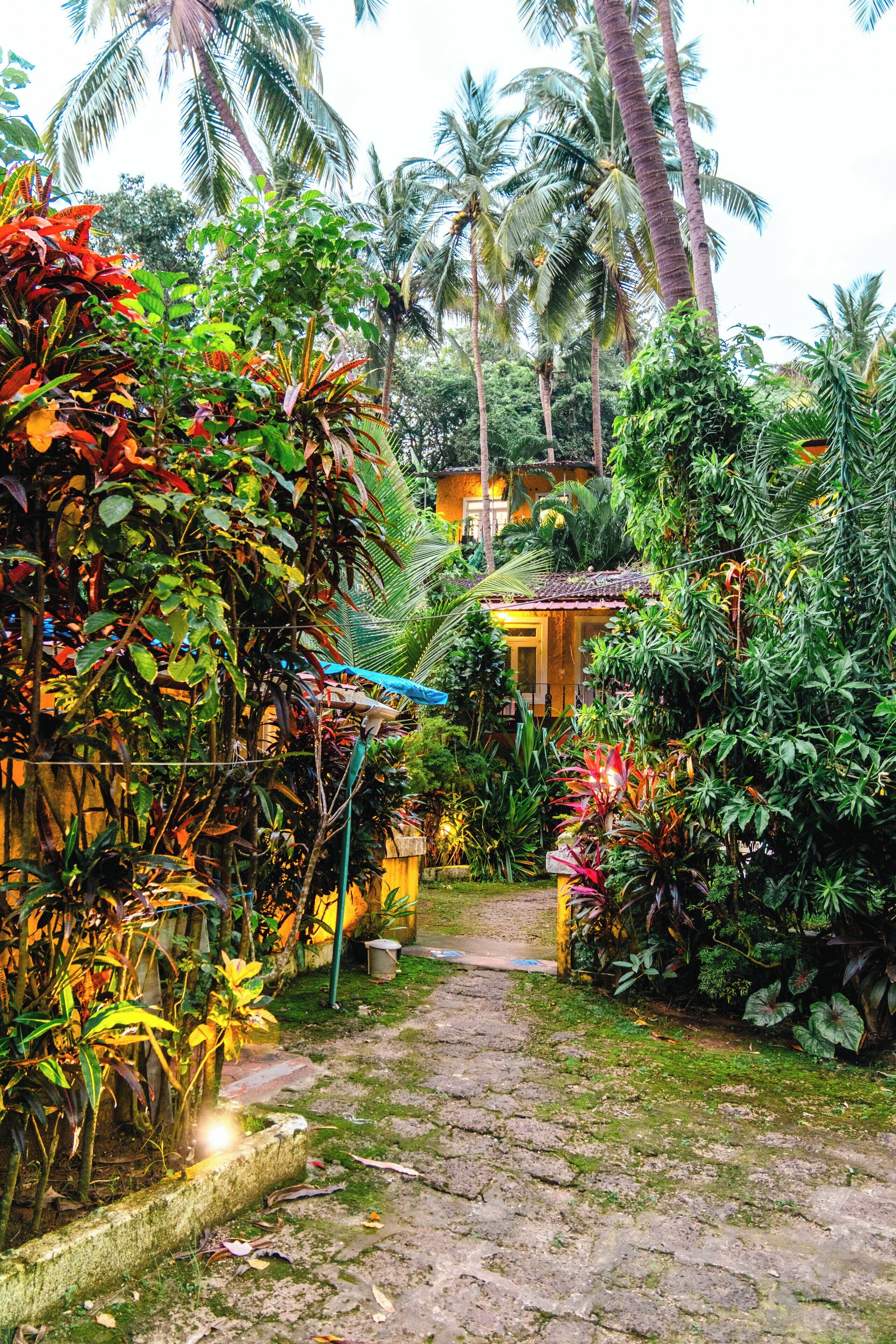 A tropical garden with a pathway leading to a building.