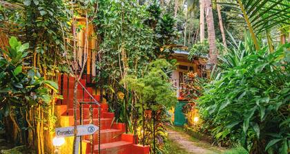 Palm Beach Lifestyle Resort By Anusaksh