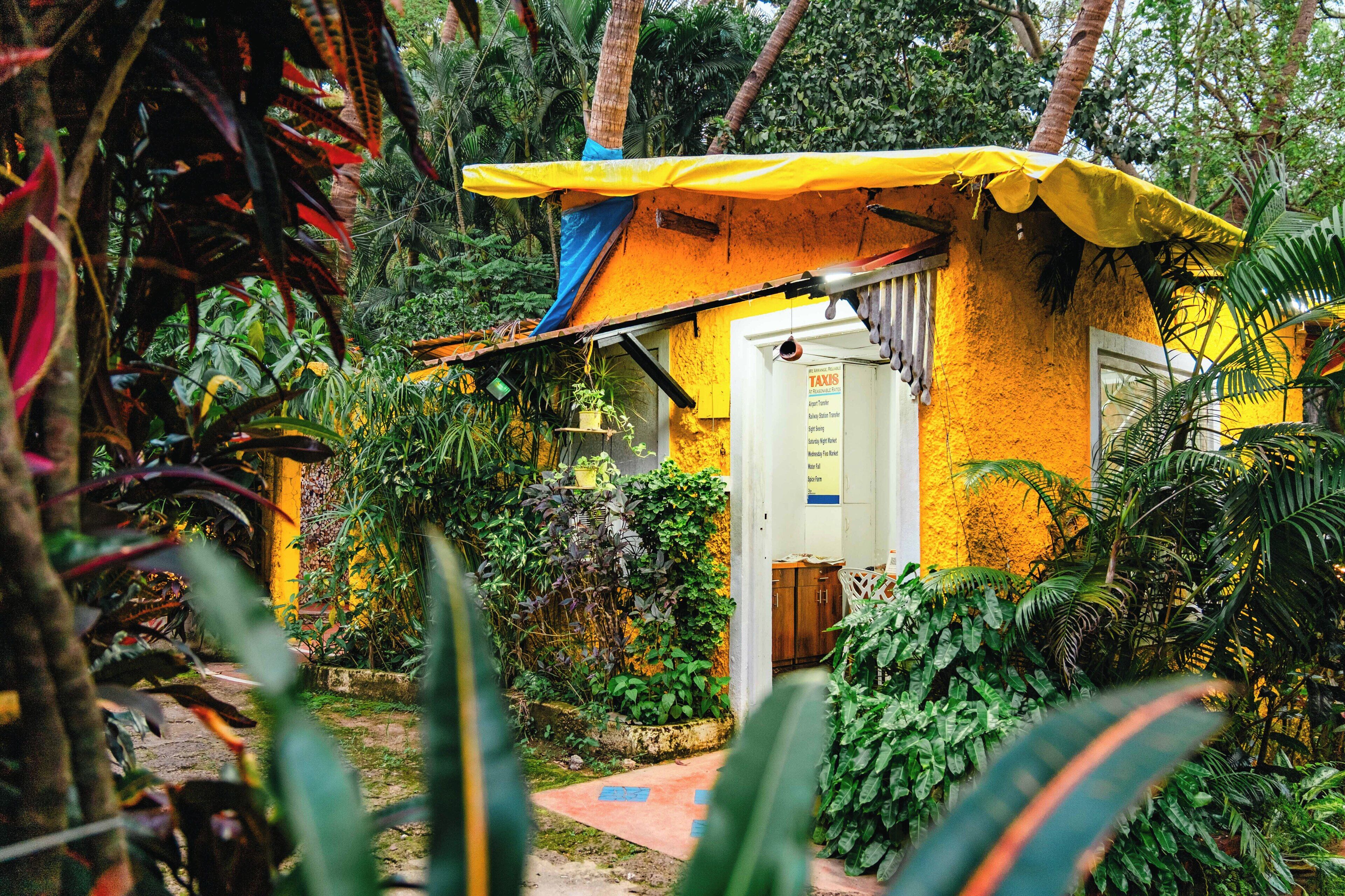 Un edificio pequeño y amarillo con un toldo azul, rodeado de abundante vegetación.