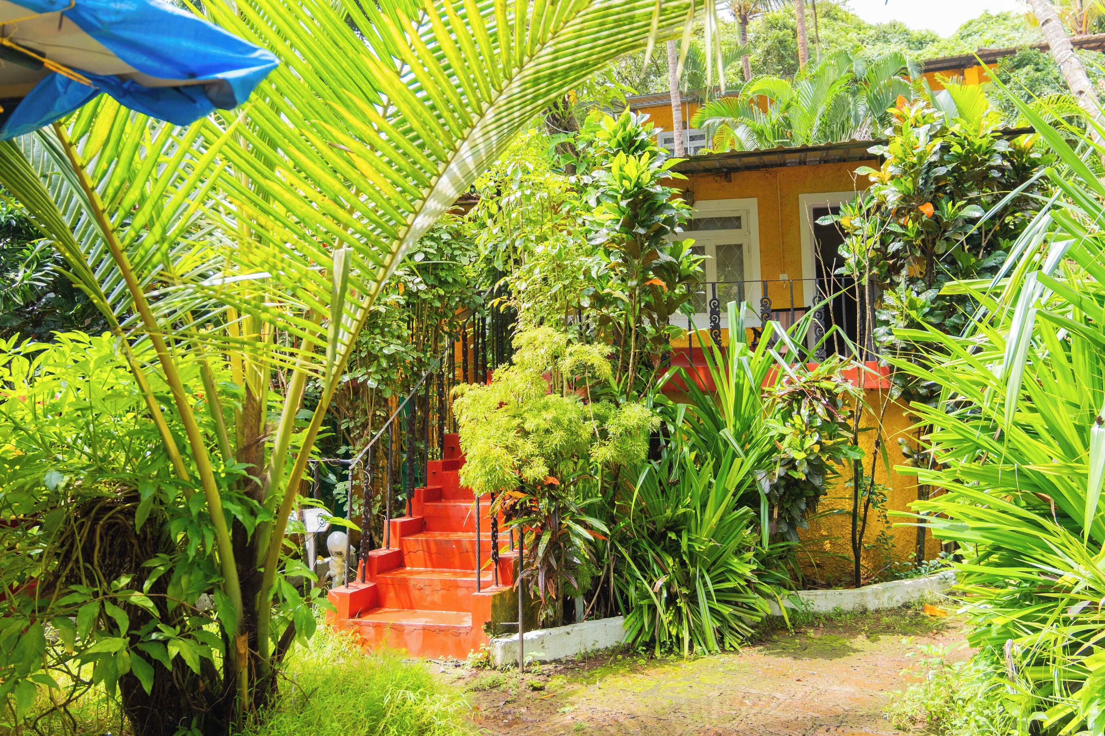 Un exuberante jardín con una escalera que lleva a un edificio amarillo.