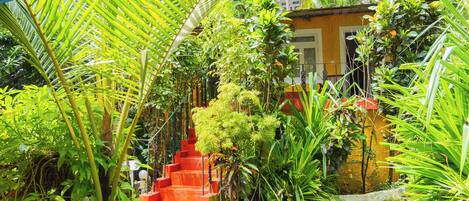 Un exuberante jardín con una escalera que lleva a un edificio amarillo.