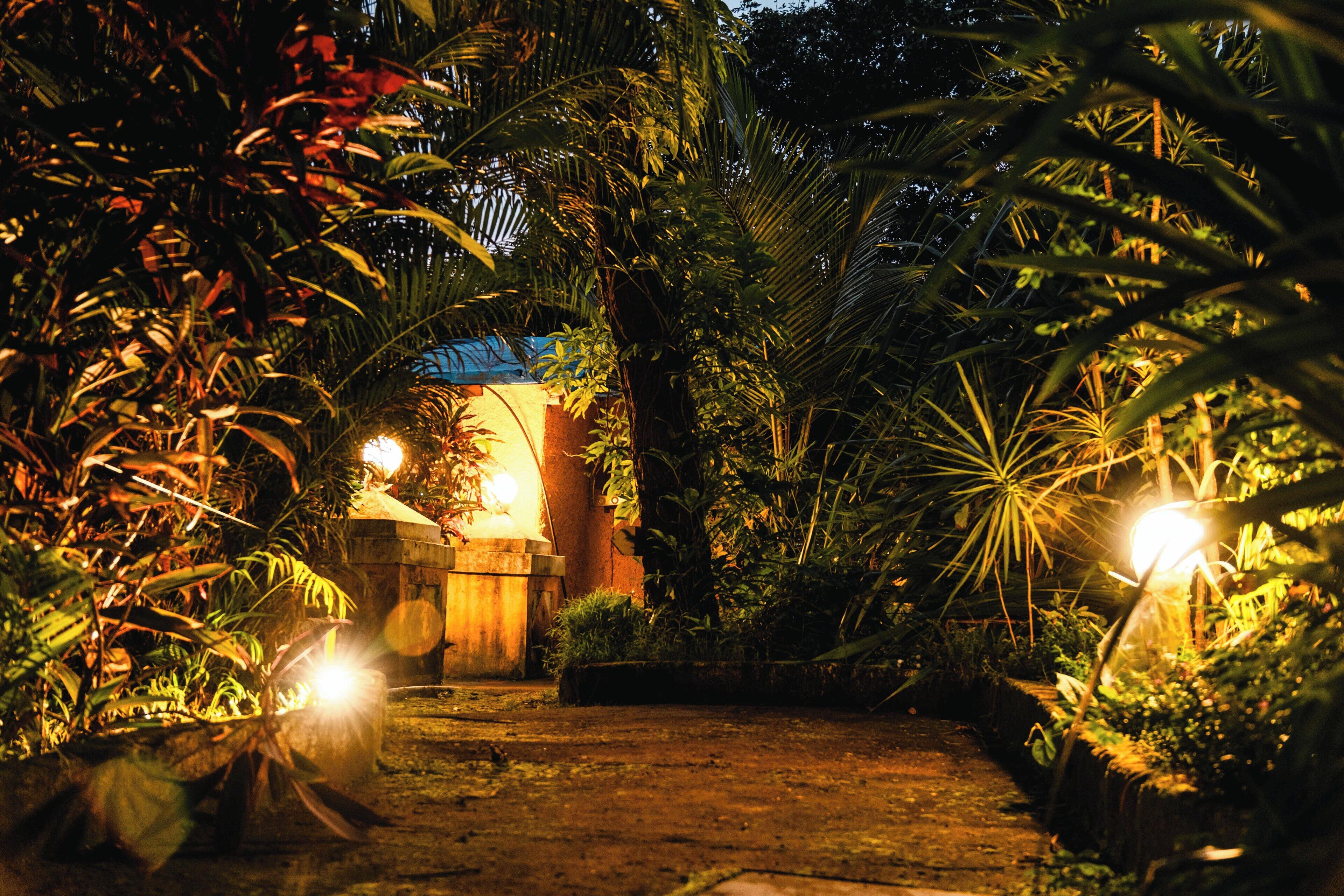 Un sendero conduce a un edificio rodeado de follaje denso e iluminado por una luz cálida.