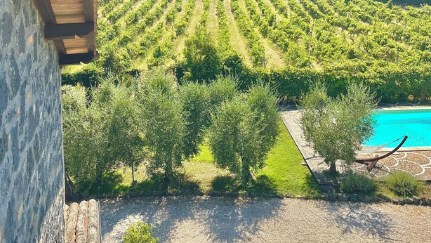 A vineyard with rows of grapevines, a swimming pool, and a stone wall. - Villa of Silence-Peace and Wellness in the Vineyards of Orvieto (Umbria)