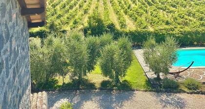 Villa of Silence-Peace and Wellness in the Vineyards of Orvieto