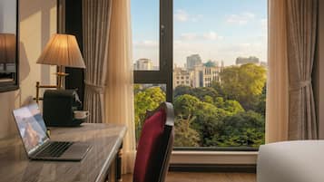 Premium Deluxe Room City View | View from room