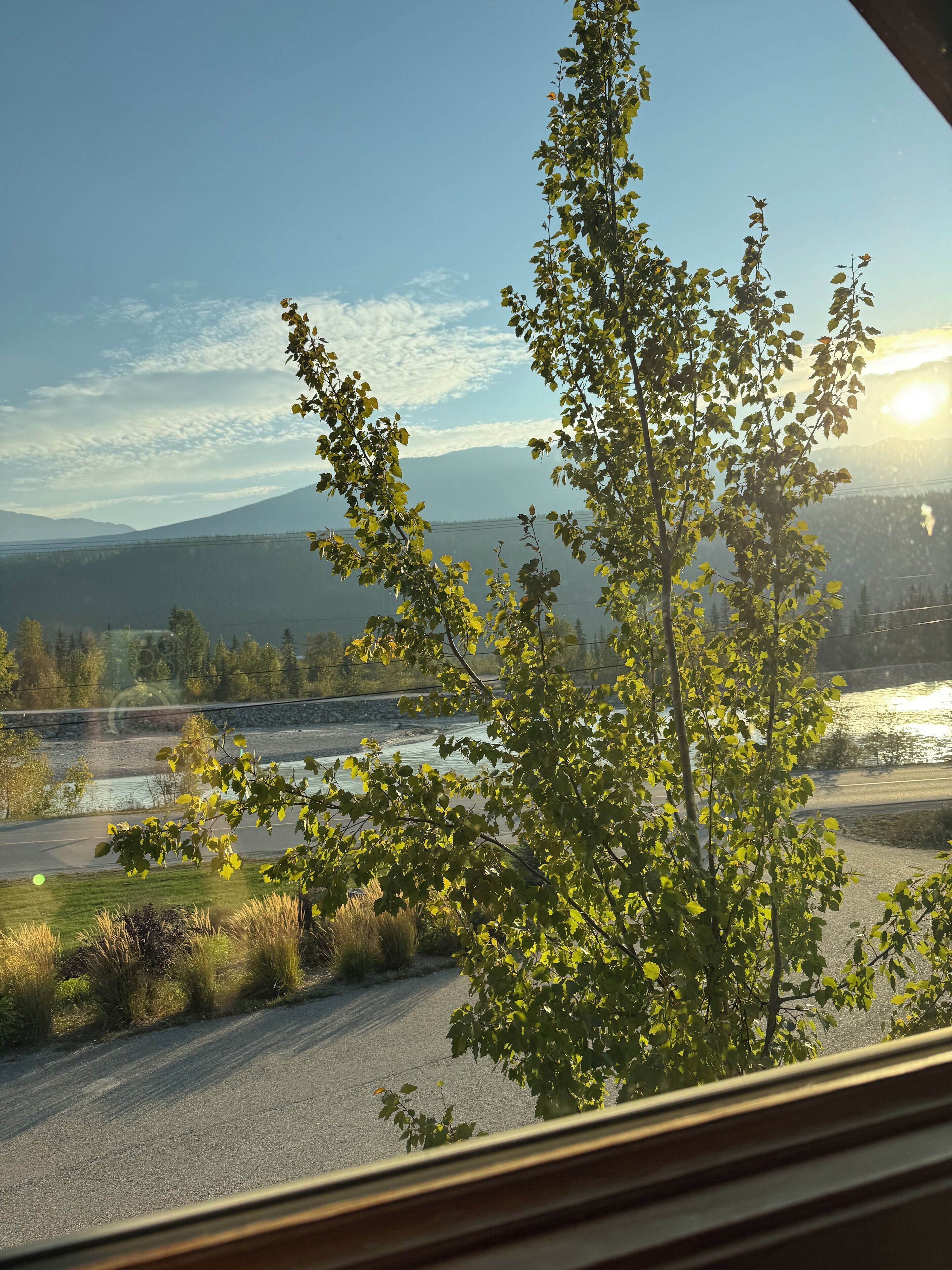 A view from a window overlooking a road with a tree in the foreground, a river, and mountains in the distance.