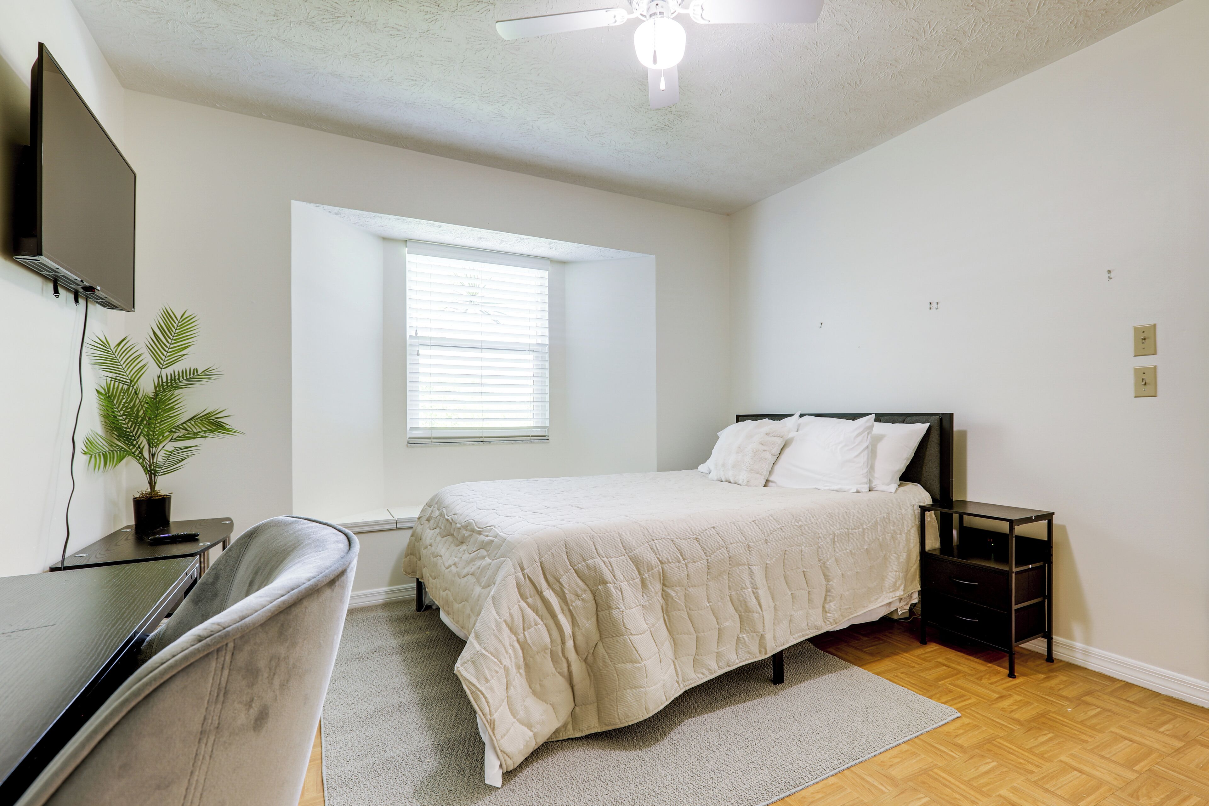 A bedroom with a bed, a desk, a chair, a plant, a window, and a ceiling fan.