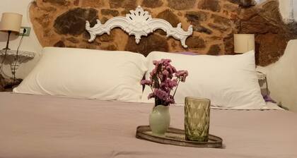 The Chicchino and the Lumachino