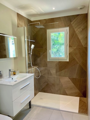 Shower, hair dryer, towels