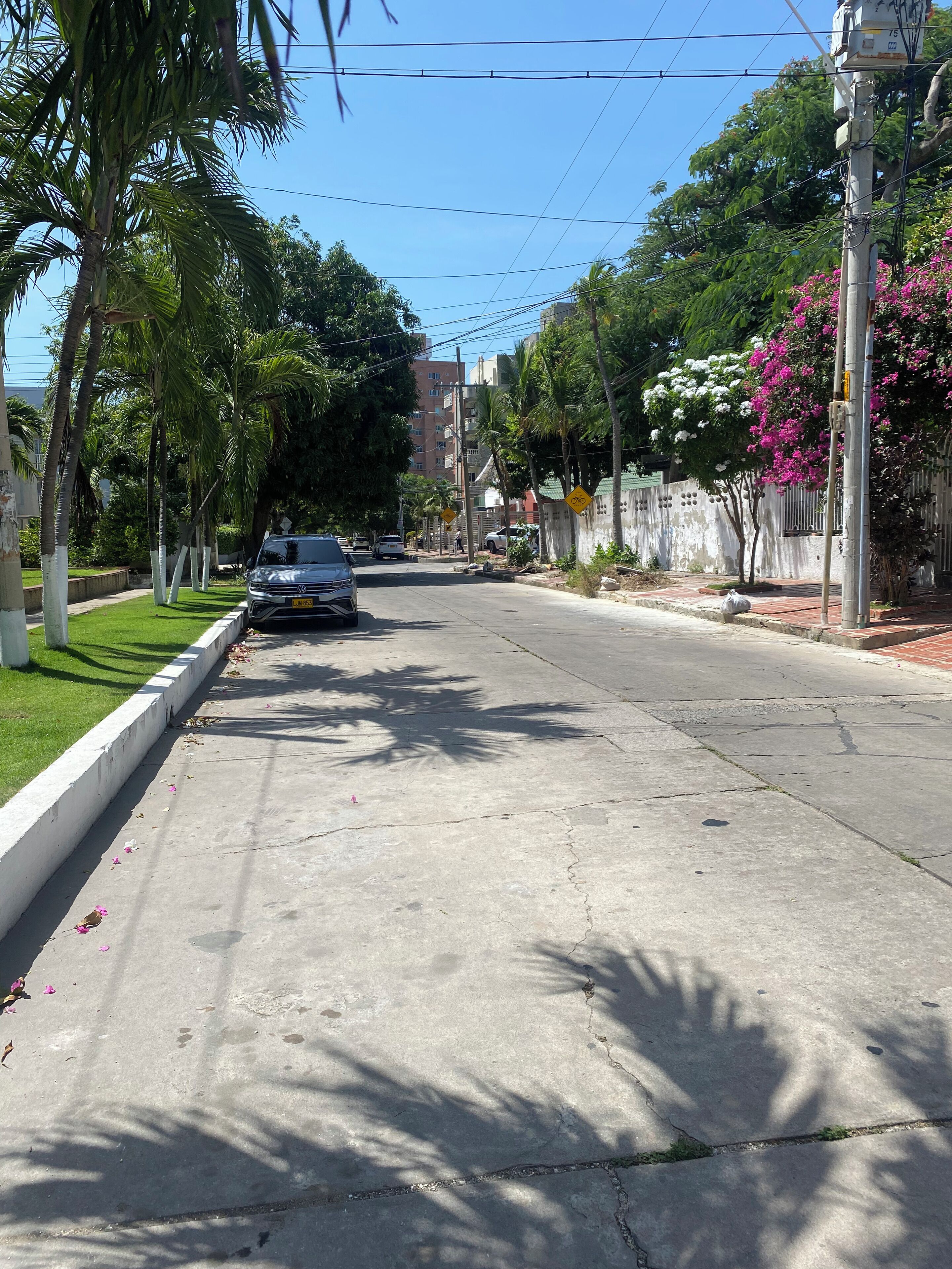 A street with palm trees, a concrete sidewalk, and a building in the background.
