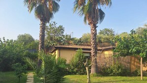 Een huis met een pannendak, omgeven door een verzorgd gazon en palmbomen.