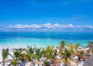 Una spiaggia con acque turchesi cristalline, palme e una riva sabbiosa.