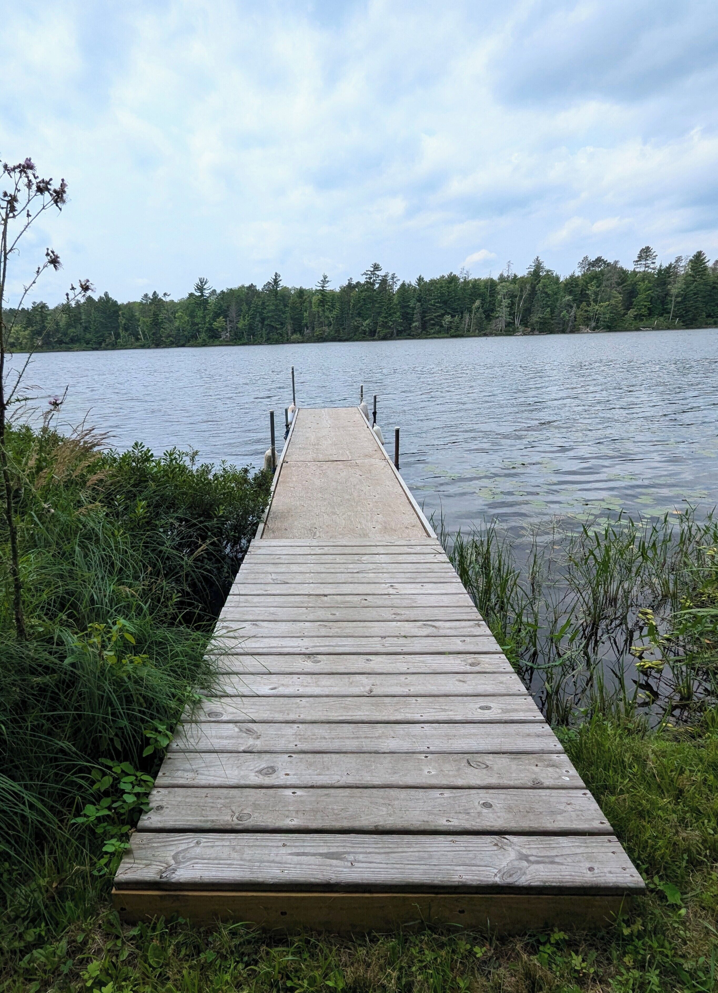 Une jetée en bois s’étendant sur un lac paisible, entourée d’une végétation luxuriante et d’arbres.