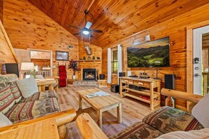 TV, lareira, aparelho de som