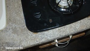 Een keuken met een gasfornuis en een spoelbak.