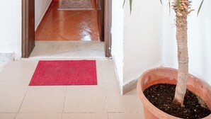 Un couloir menant à une cuisine où se trouve une plante en pot.