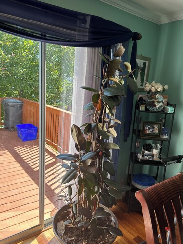 Corporate apartment with 2 bedrooms and AC, fitness room in charming Addis Ababa