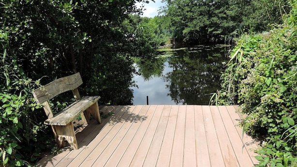 Une jetée en bois avec un banc, entourée d’une végétation luxuriante et bordée d’une étendue d’eau calme.