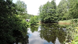 A serene river surrounded by dense greenery and trees. - Nature & Fishing Retreat in Kołczewo (Kołczewo)