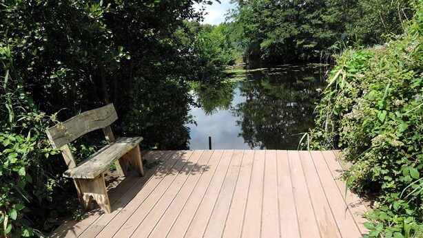 A wooden dock with a bench, surrounded by dense greenery and a calm body of water. - Nature & Fishing Retreat in Kołczewo (Kołczewo)