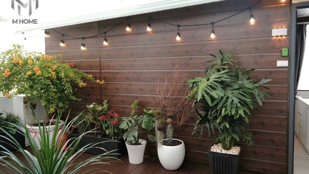 A wooden wall with string lights, potted plants, and a sign for M HOME. - M Home Saigon (Ho Chi Minh City)
