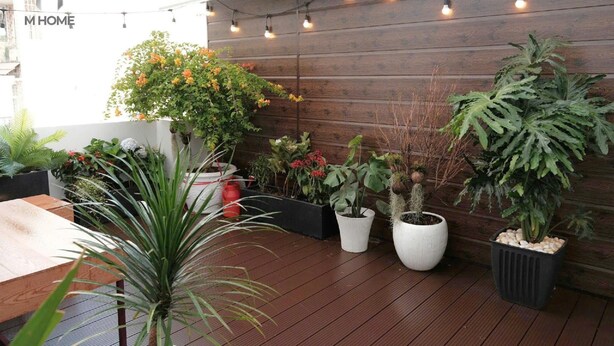 A wooden deck with potted plants and string lights. - M Home Saigon (Ho Chi Minh City)