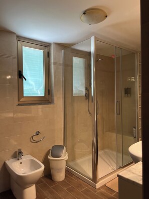 Shower, hair dryer, bidet, towels